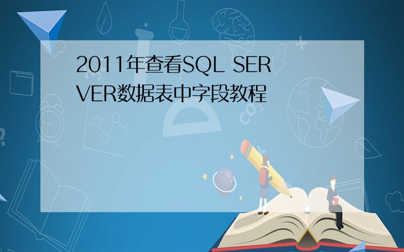 2011年查看SQL SERVER数据表中字段教程
