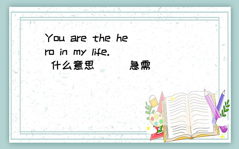You are the hero in my life. 什么意思      急需