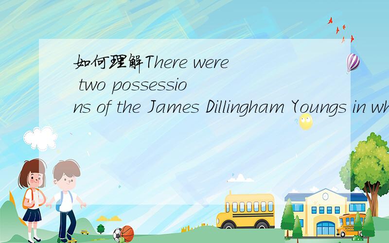 如何理解There were two possessions of the James Dillingham Youngs in which they both takepride.