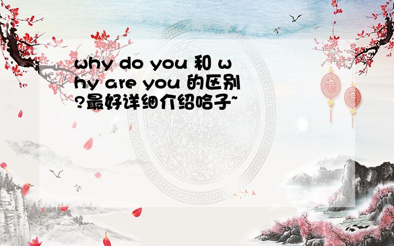 why do you 和 why are you 的区别?最好详细介绍哈子~