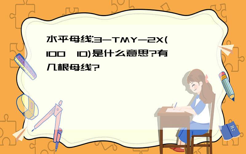 水平母线:3-TMY-2X(100*10)是什么意思?有几根母线?