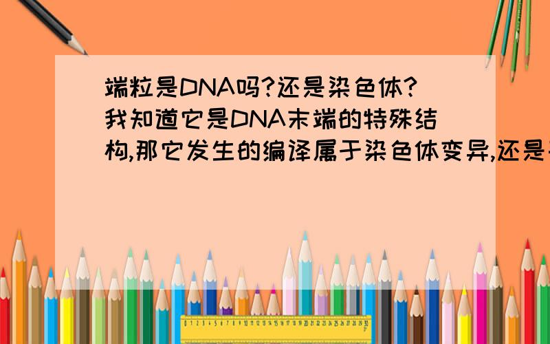 端粒是DNA吗?还是染色体?我知道它是DNA末端的特殊结构,那它发生的编译属于染色体变异,还是基因突变呢?