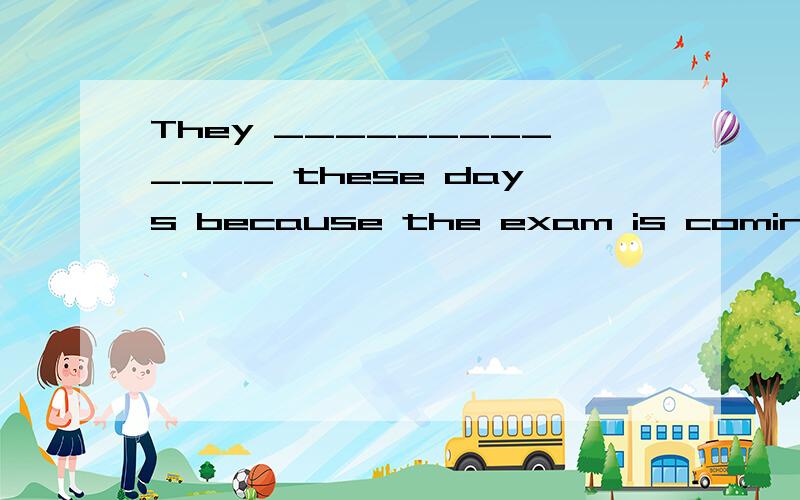They _____________ these days because the exam is coming.
