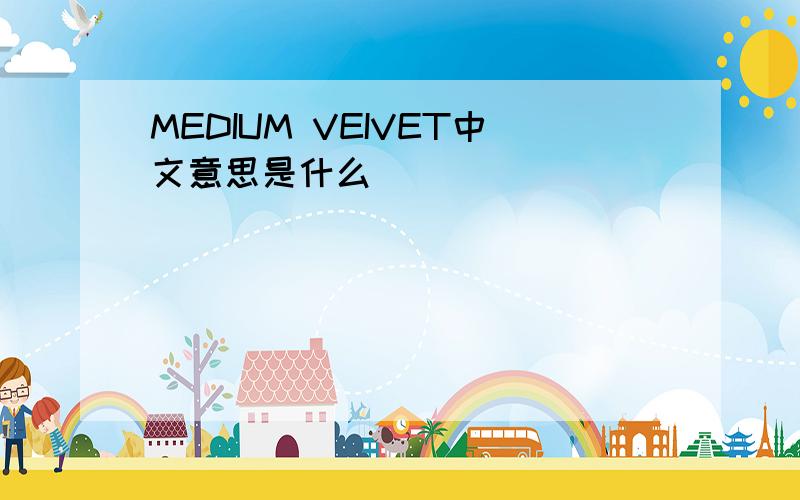 MEDIUM VEIVET中文意思是什么