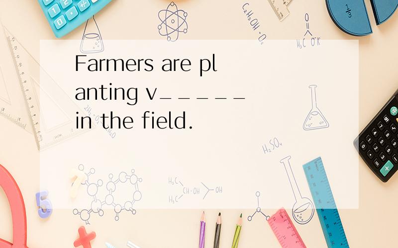 Farmers are planting v_____ in the field.